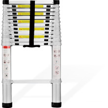 slight,Insulation Ladders Feature and Domestic ladder,Domestic Ladders Type Single straight ladder